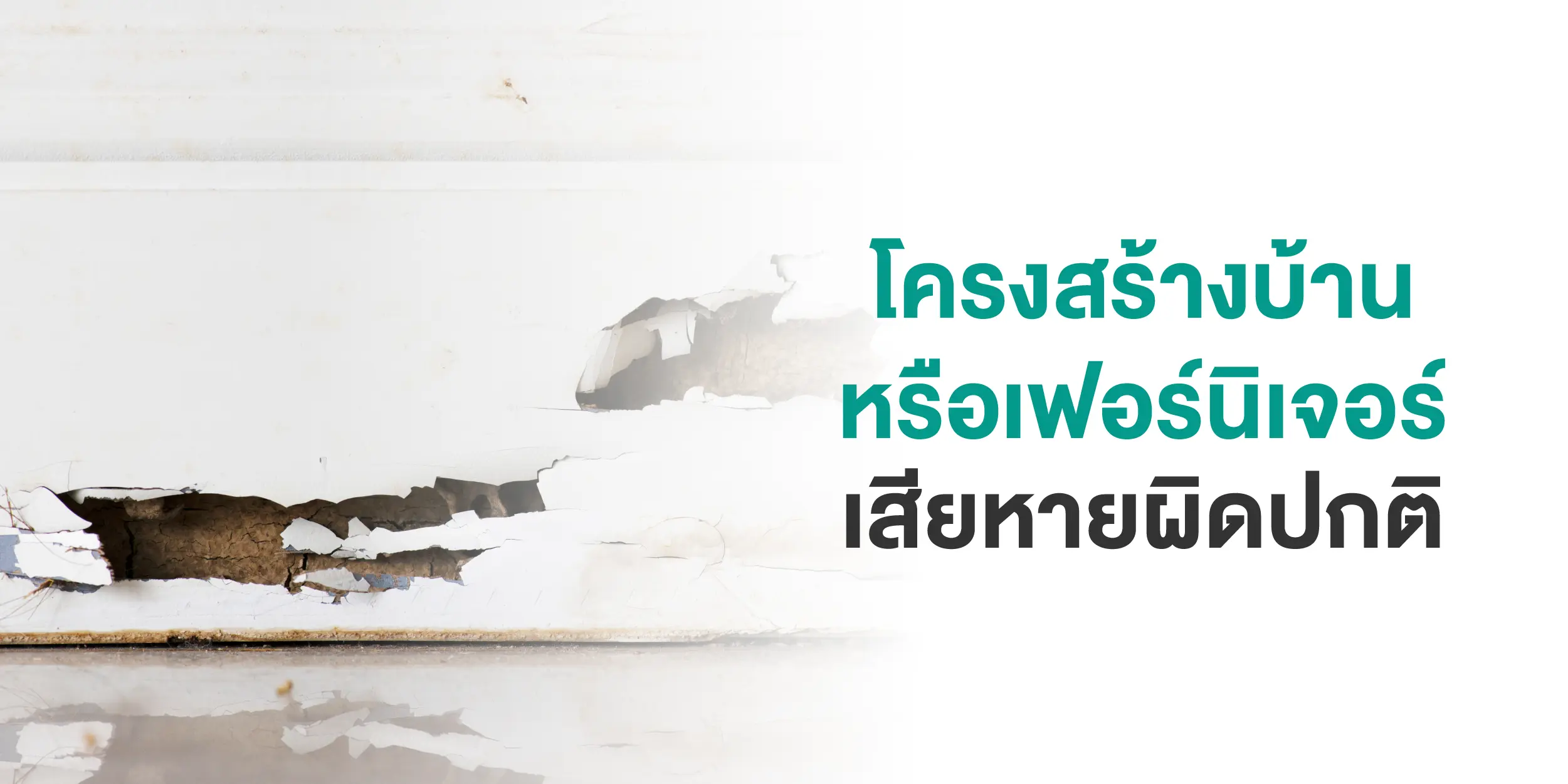 7 สัญญาณเตือนที่บอกว่าถึงเวลาจัดการกำจัดปลวกและแมลงแล้ว (1)