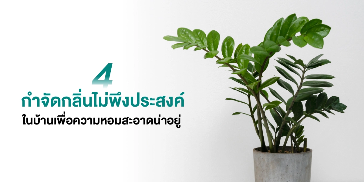 แชร์ไอเดีย 6 เคล็ดลับการดูแลบ้านให้สะอาดปลอดภัย ชีวิตสดใสร่มเย็น 2025 (5)