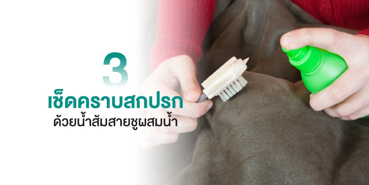 7 วิธีทำความสะอาดพรม ทำความสะอาดโซฟาให้กลับมาสะอาดเหมือนใหม่ 2025 (5)