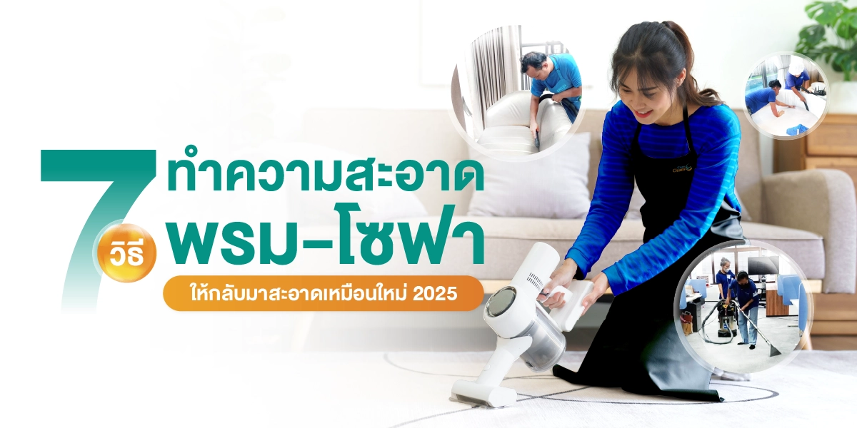 7 วิธีทำความสะอาดพรม ทำความสะอาดโซฟาให้กลับมาสะอาดเหมือนใหม่ 2025 (8)