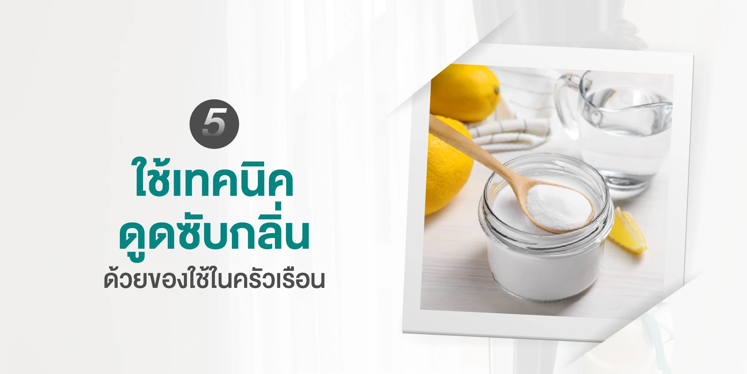 บอกลาบ้านเหม็นกลิ่นอับด้วย 7 วิธีลดกลิ่นอับภายในบ้านที่จะช่วยให้บ้านน่าอยู่มากขึ้น 2025 (2)