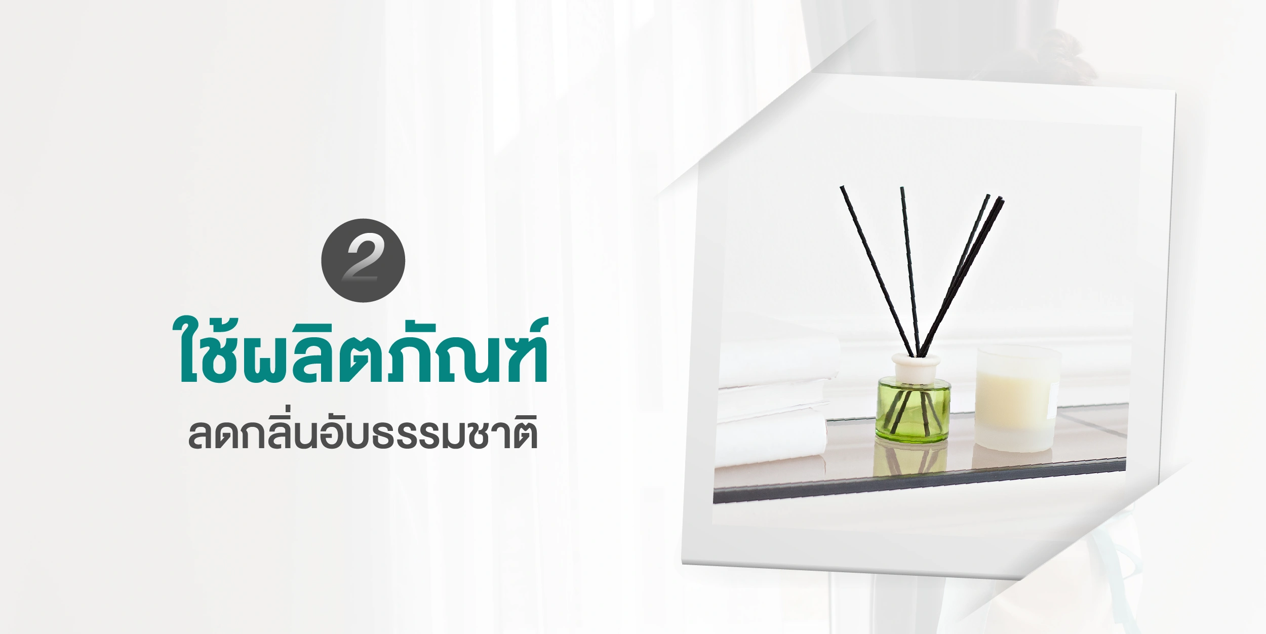 บอกลาบ้านเหม็นกลิ่นอับด้วย 7 วิธีลดกลิ่นอับภายในบ้านที่จะช่วยให้บ้านน่าอยู่มากขึ้น 2025 (5)