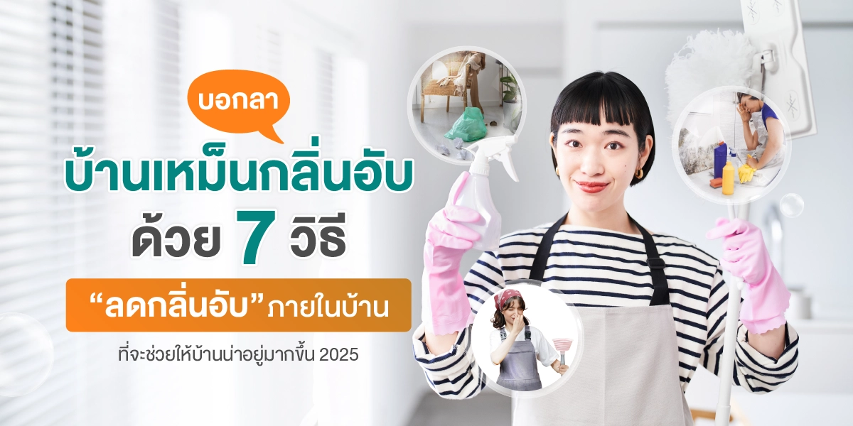 บอกลาบ้านเหม็นกลิ่นอับด้วย 7 วิธีลดกลิ่นอับภายในบ้านที่จะช่วยให้บ้านน่าอยู่มากขึ้น 2025 (7)