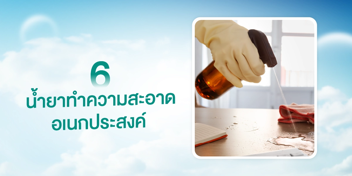 แนะนำ 7 อุปกรณ์ทำความสะอาดบ้านที่สำคัญ และควรมีติดบ้านเพื่อบ้านสะอาด2025 (2)