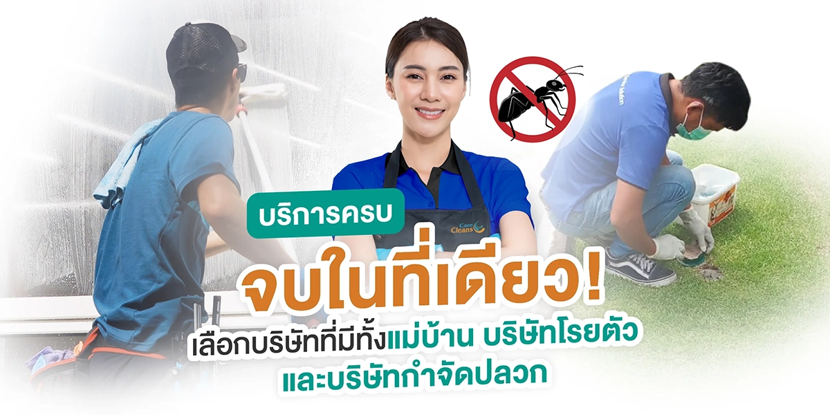 บริษัทที่มีทั้งแม่บ้าน บริษัทโรยตัว และบริษัทกำจัดปลวก