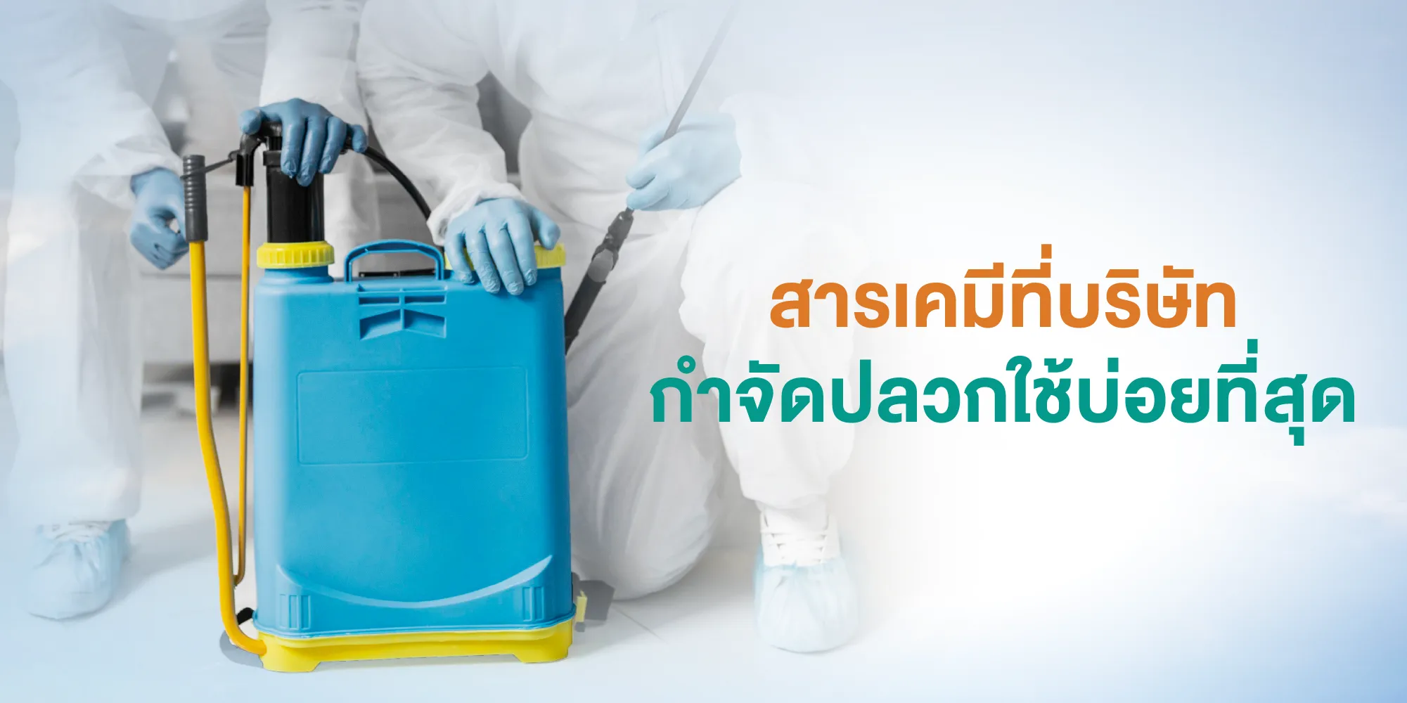 สารเคมีที่บริษัทกำจัดปลวกใช้บ่อยที่สุด